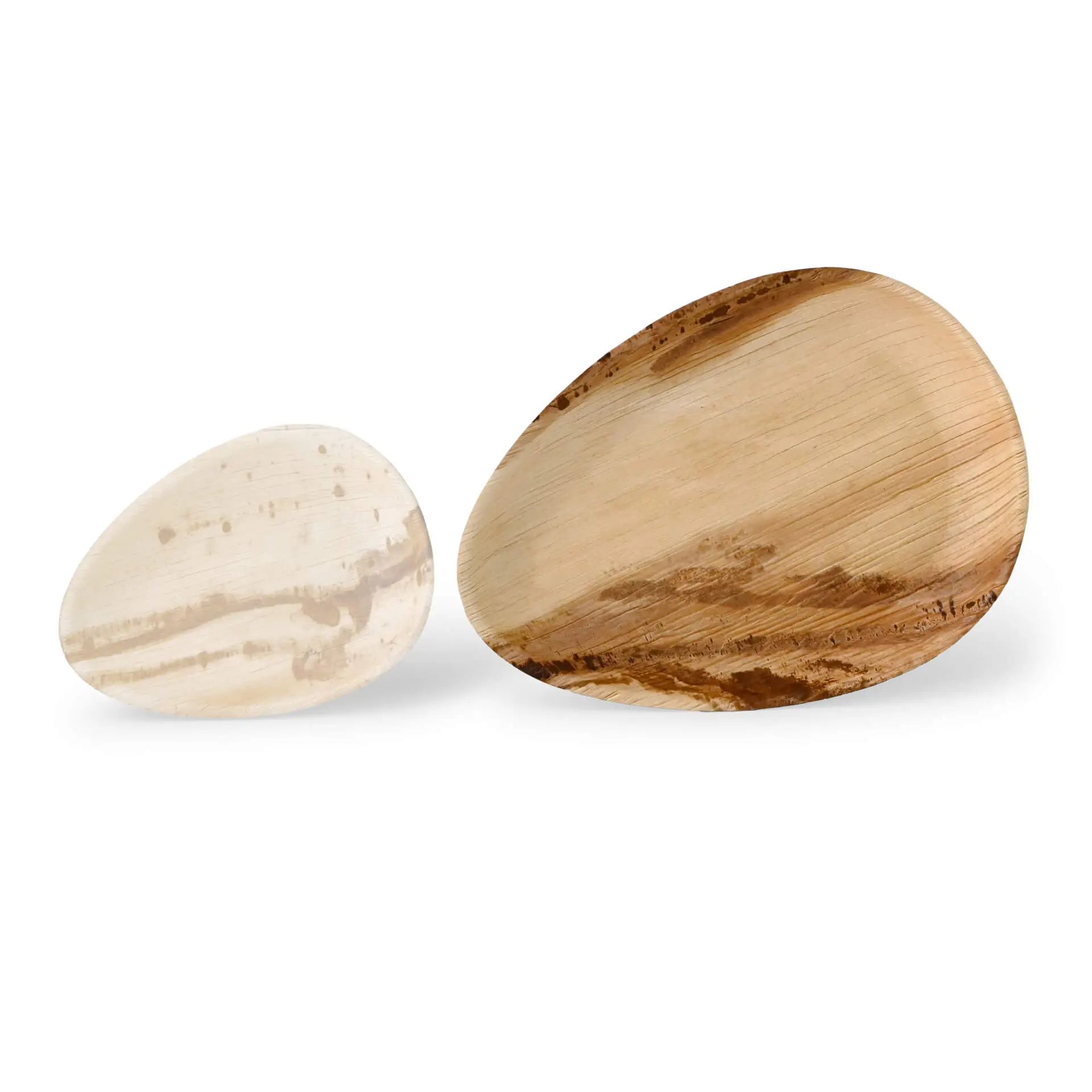 dtw056201-palmblatt-teller-palmware-26-cm-tropfenfoermig-9