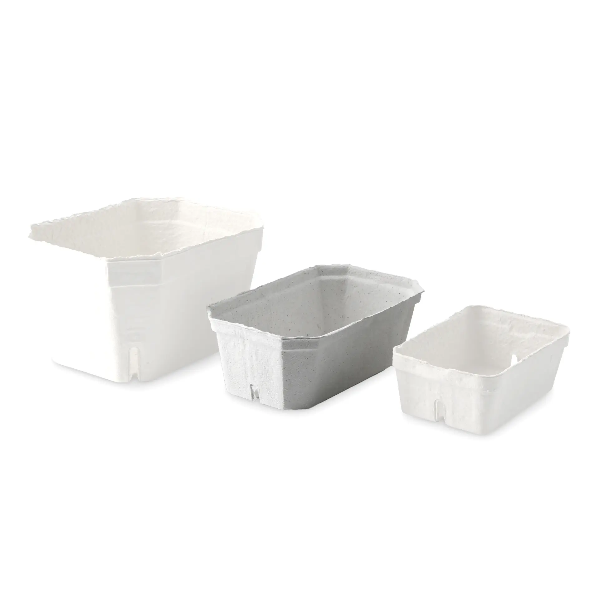 Tre vassoi bianchi per bacche realizzati in cartone di polpa di legno, di diverse dimensioni, progettati per prodotti freschi e trasporto.