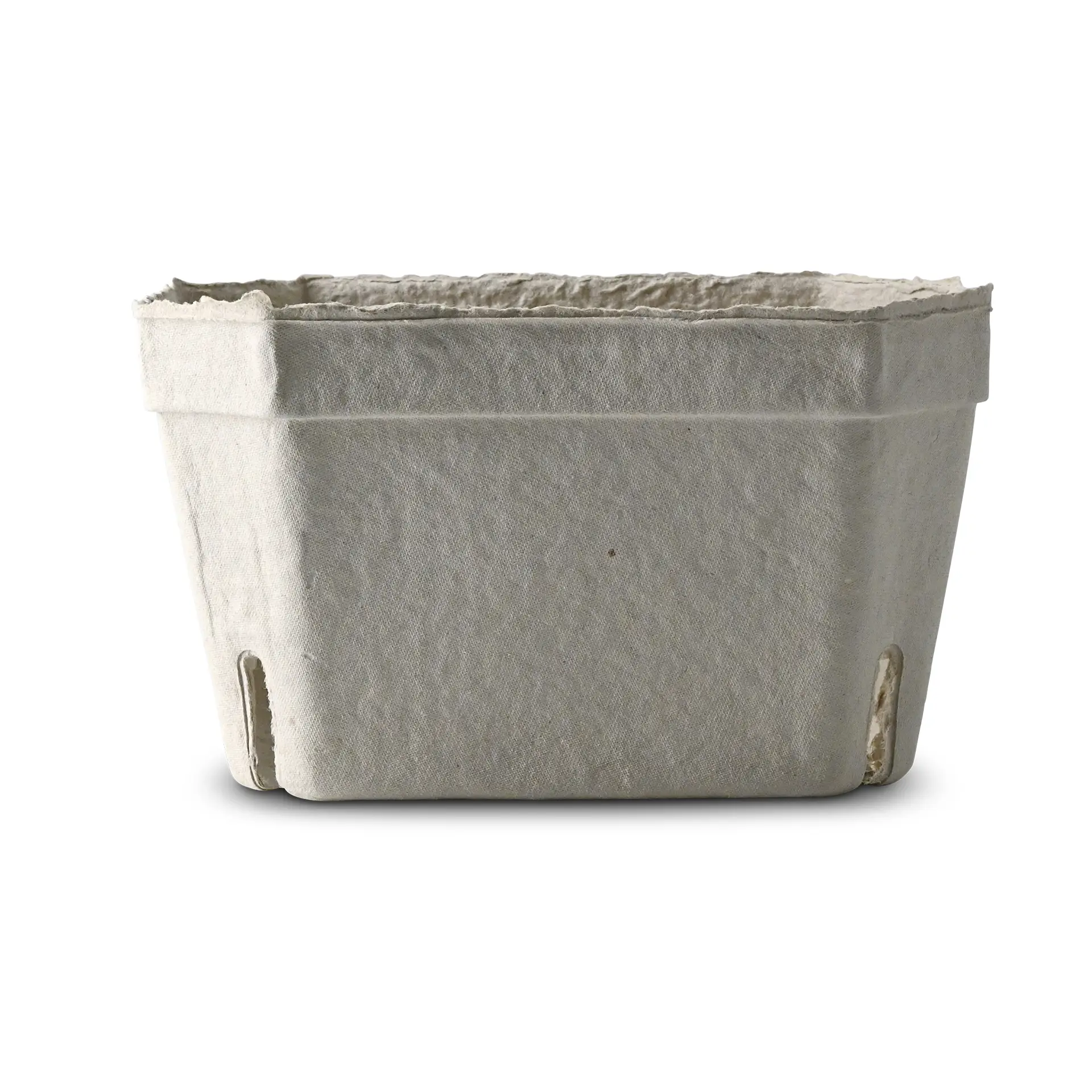 Un vassoio bianco per bacche realizzato in robusto cartone di polpa di legno; progettato per frutta fresca e prodotti delicati, ideale per i mercati.