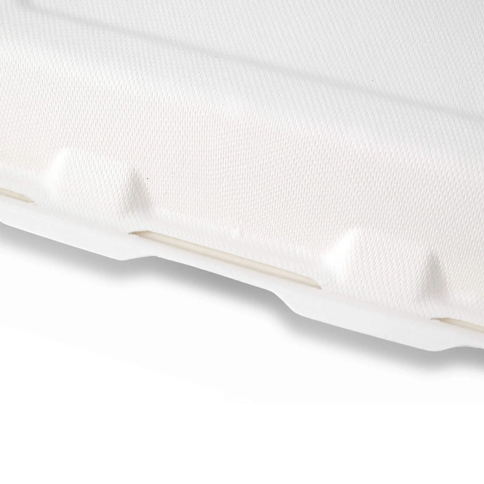 Scatola per menu biodegradabile in canna da zucchero a due scomparti con superficie bianca texturizzata, che mostra il suo design ecologico.