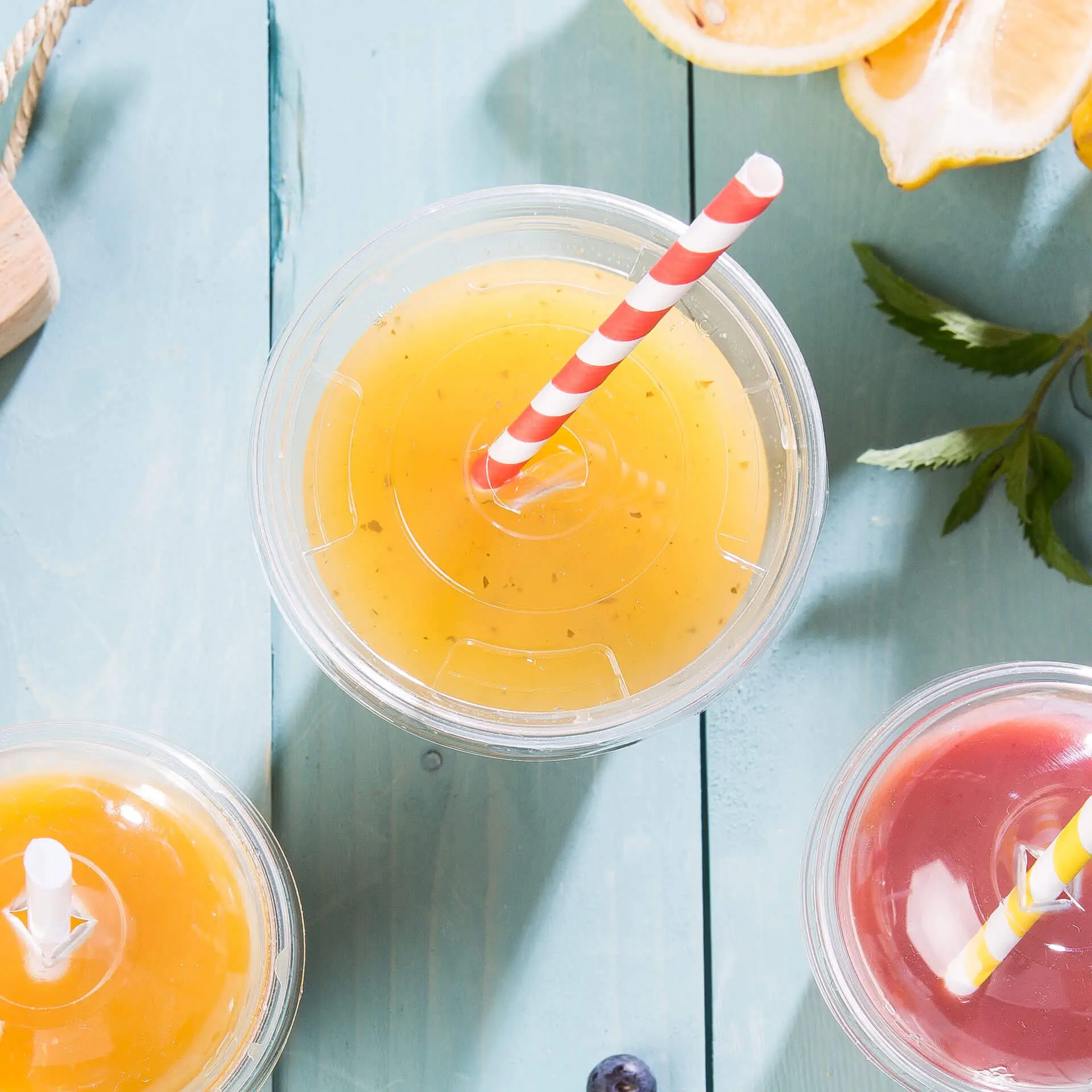 dcd00051-pla-flachdeckel-96-mm-halmloch-7