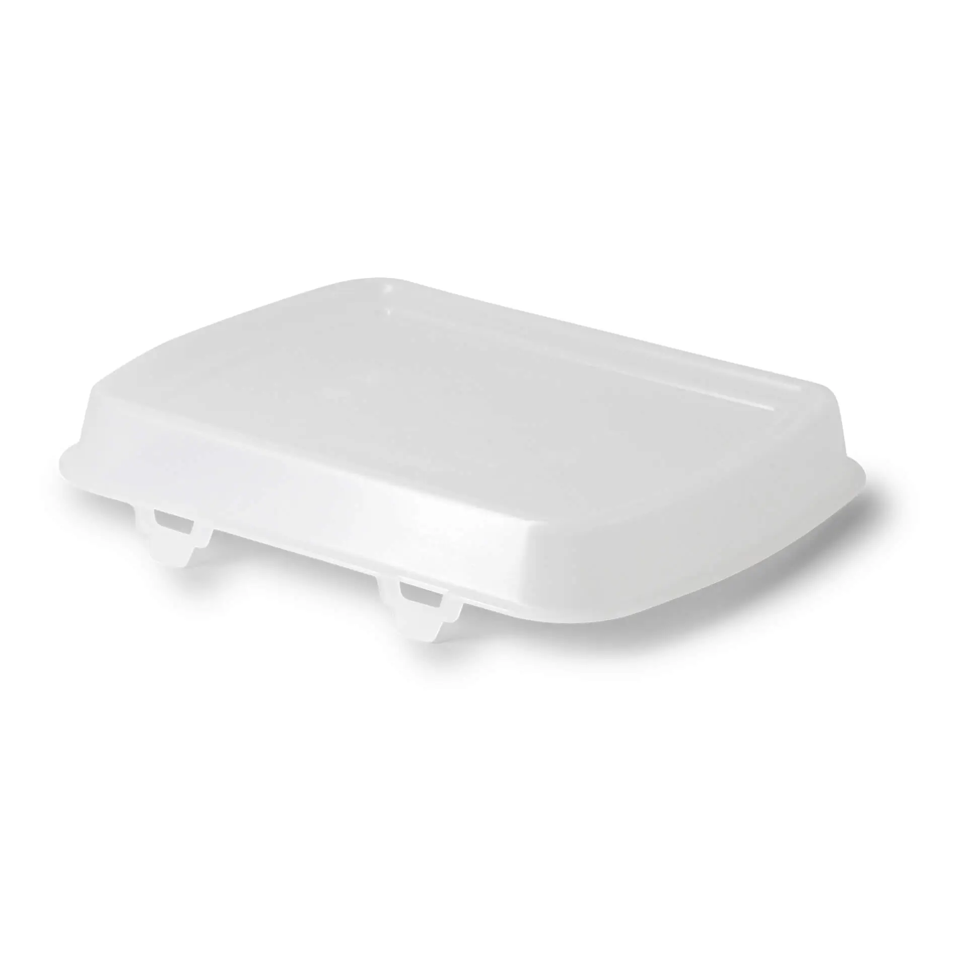 dfc008501-mehrwegdeckel-merways-box-245-x-20-x-45-cm-pp-transparent-2