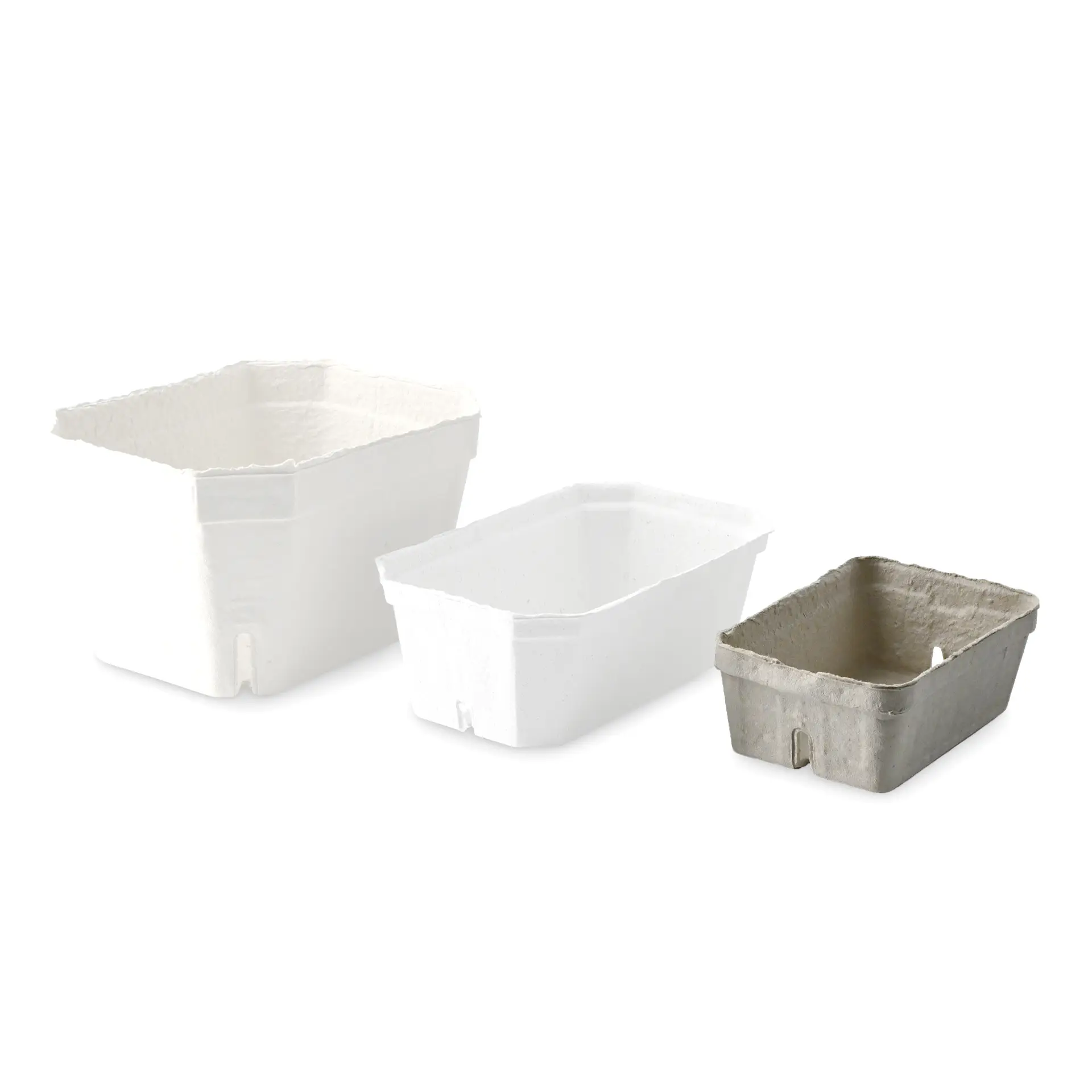 Tre vassoi di bacche a fuoco: un vassoio bianco in pasta di legno, un vassoio bianco e un vassoio grigio accanto.