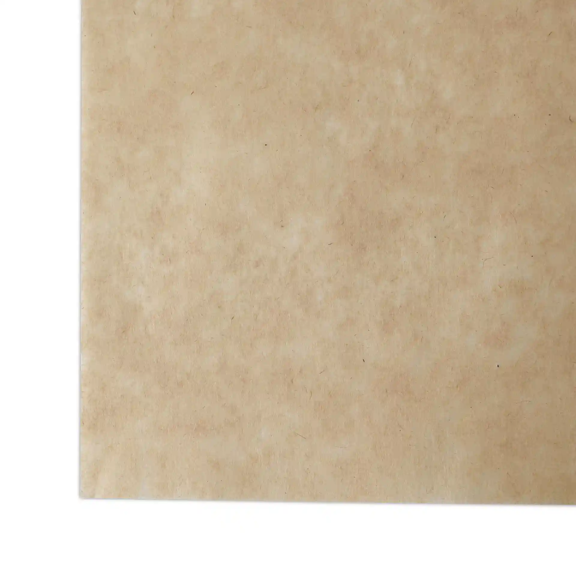 Carta da imballaggio marrone tagliata di 18 x 25 cm con superficie testurizzata in una tonalità marrone chiaro.