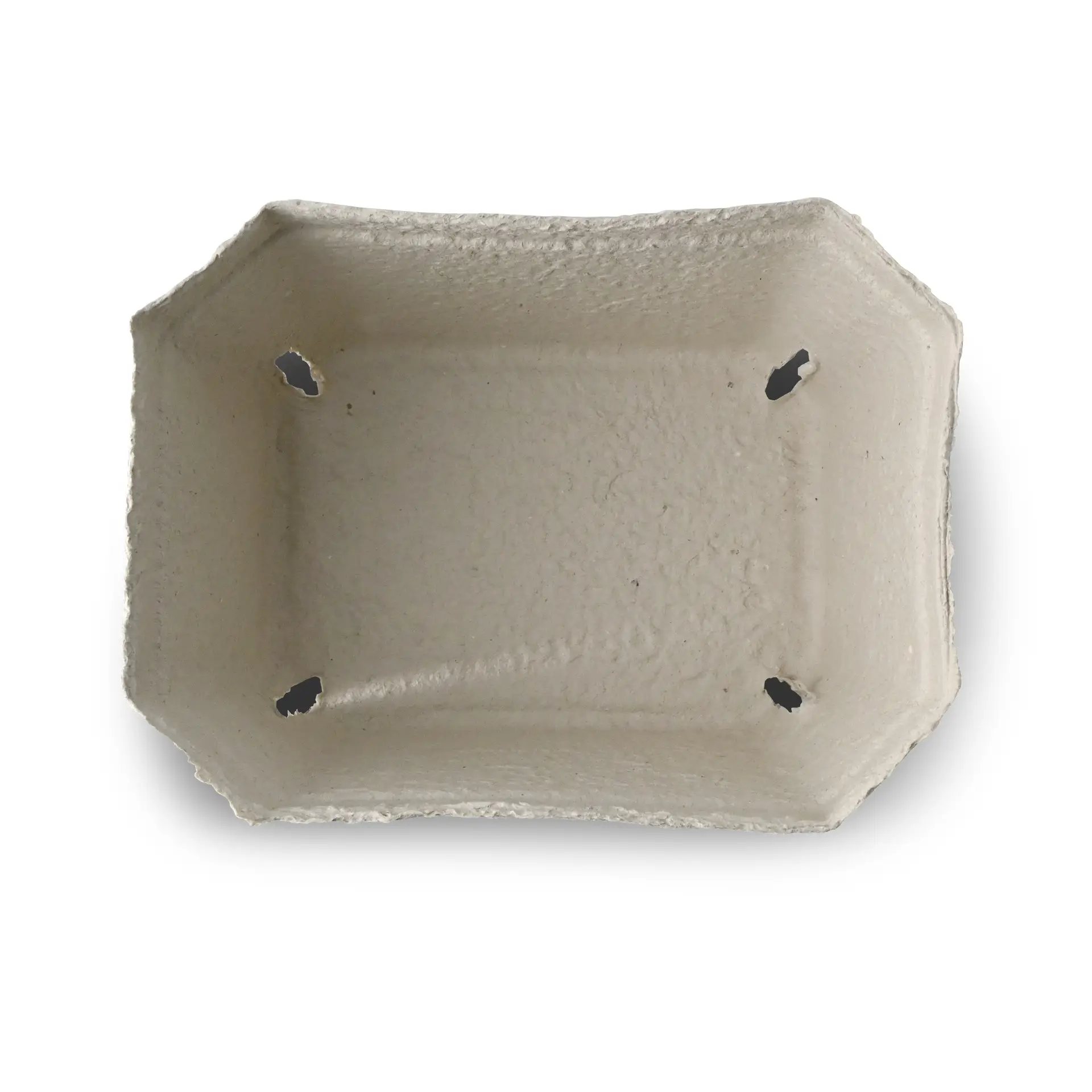 Vassoio per bacche bianco in robusto cartone di polpa di legno, progettato per trasportare frutta fresca, ideale per i mercati.